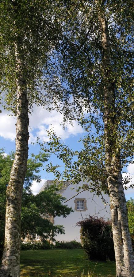 Crown Roads Bed and Breakfast Le Faouët Buitenkant foto