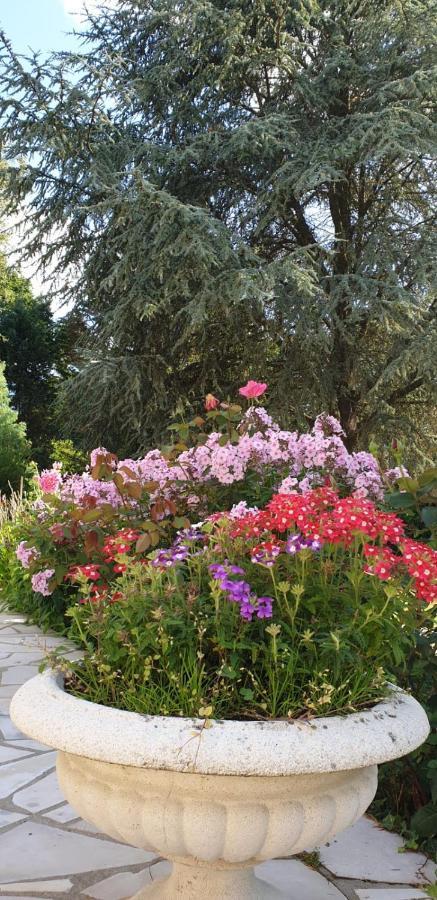 Crown Roads Bed and Breakfast Le Faouët Buitenkant foto