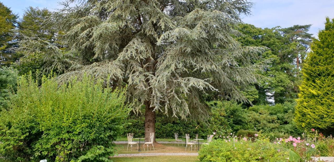 Crown Roads Bed and Breakfast Le Faouët Buitenkant foto