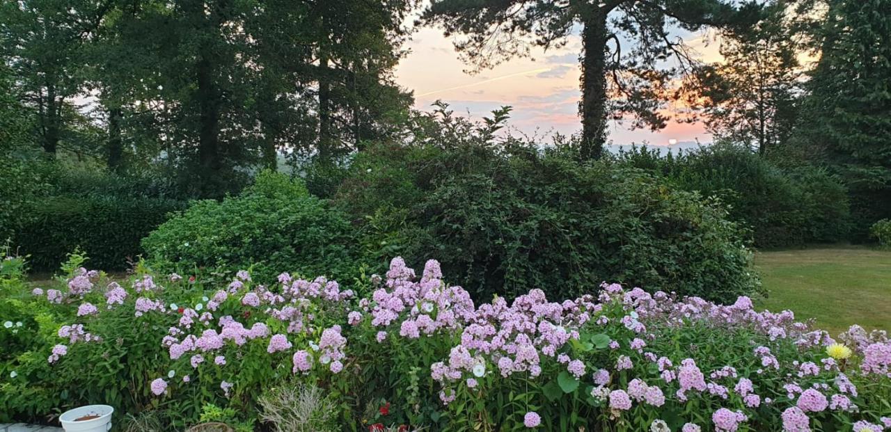 Crown Roads Bed and Breakfast Le Faouët Buitenkant foto