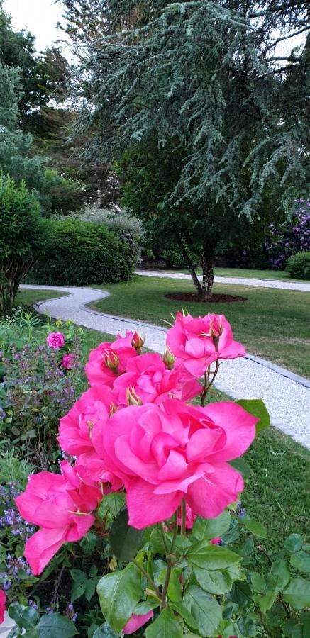 Crown Roads Bed and Breakfast Le Faouët Buitenkant foto